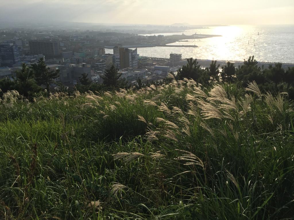 Oh Happy Day Jeju Villa Buitenkant foto